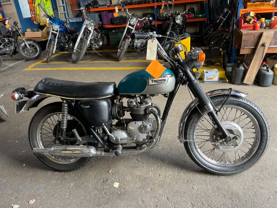 Triumph Tiger 100